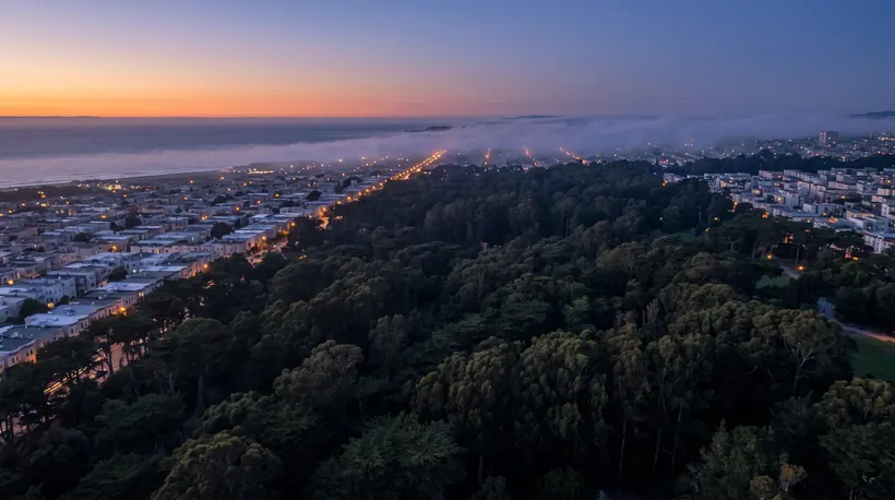 Living Near Golden Gate Park During Outside Lands