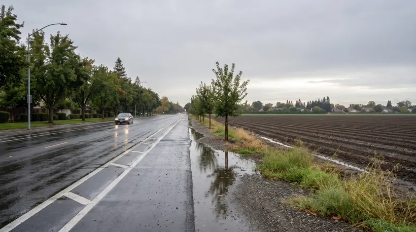 Davis is the only Sacramento-area city voting on new homes