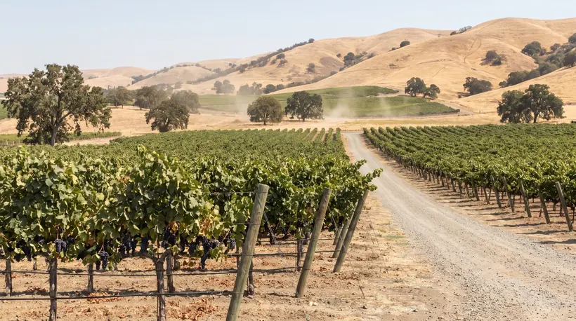 Wente Livermore Land Sale: 1,500 Acres, Not Housing